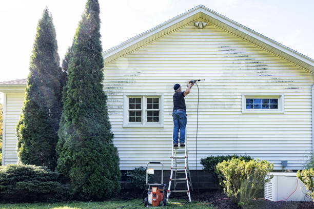 Professional Pressure Washing in Morgantown, KY